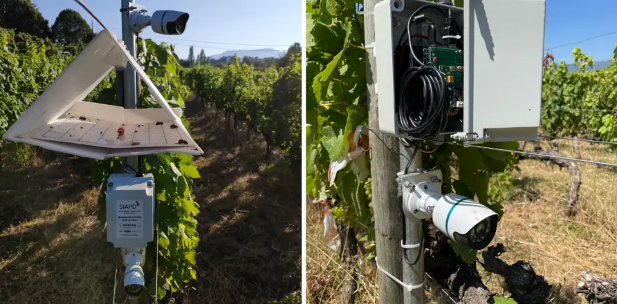 Shenzhen Cs-a Wireless Camera User Manual