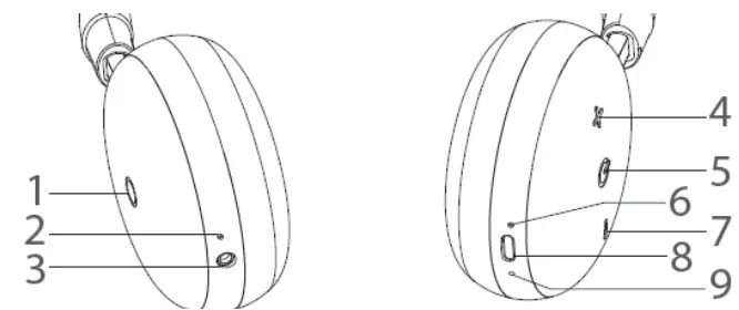 ROXCORE Avenue ANC - OVERVIEW