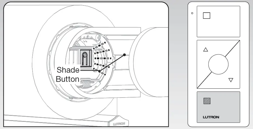 PALLADIOM-LBMRJ-C-Wire-Free-Roller-Shade-44