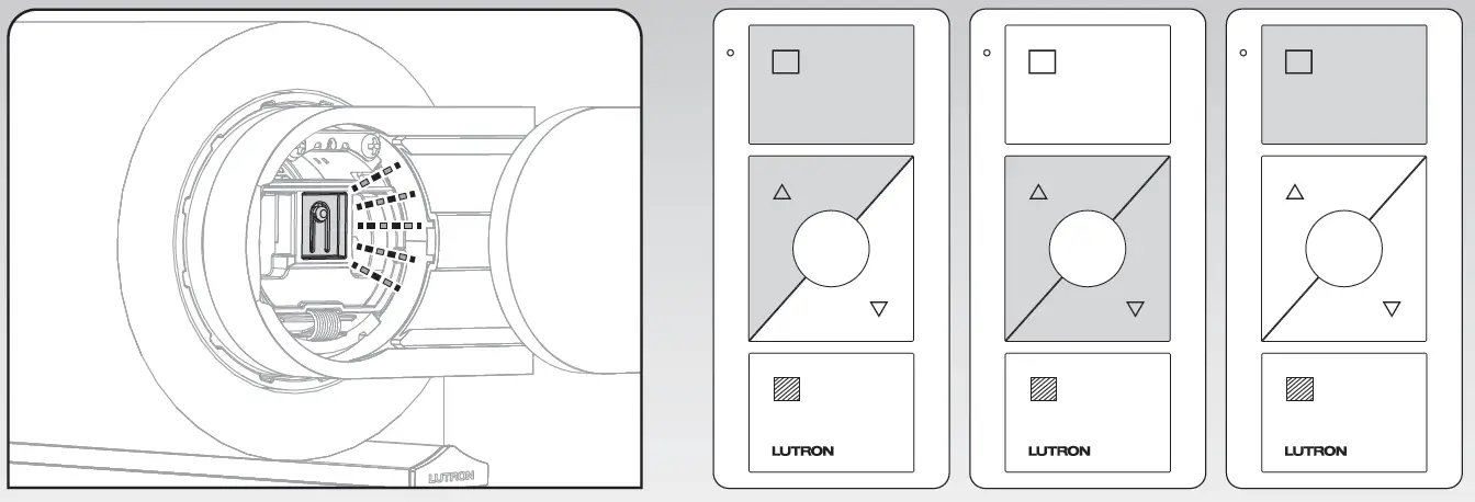 PALLADIOM-LBMRJ-C-Wire-Free-Roller-Shade-45