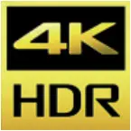 SONY X95K Series Professional BRAVIA - ICON 1