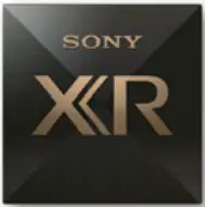 SONY X95K Series Professional BRAVIA - ICON 3