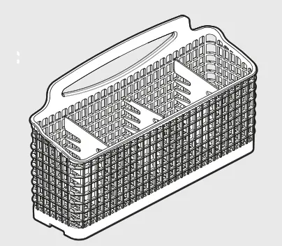 Features and appearance