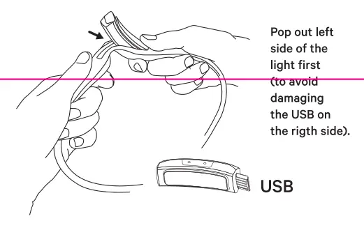 knog Bandicoot Run 250 Headlamp fig2