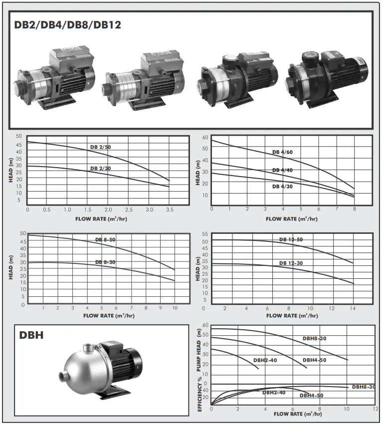 DAYLIFF DB2 Horizontal Multistage Pumps - fig 1