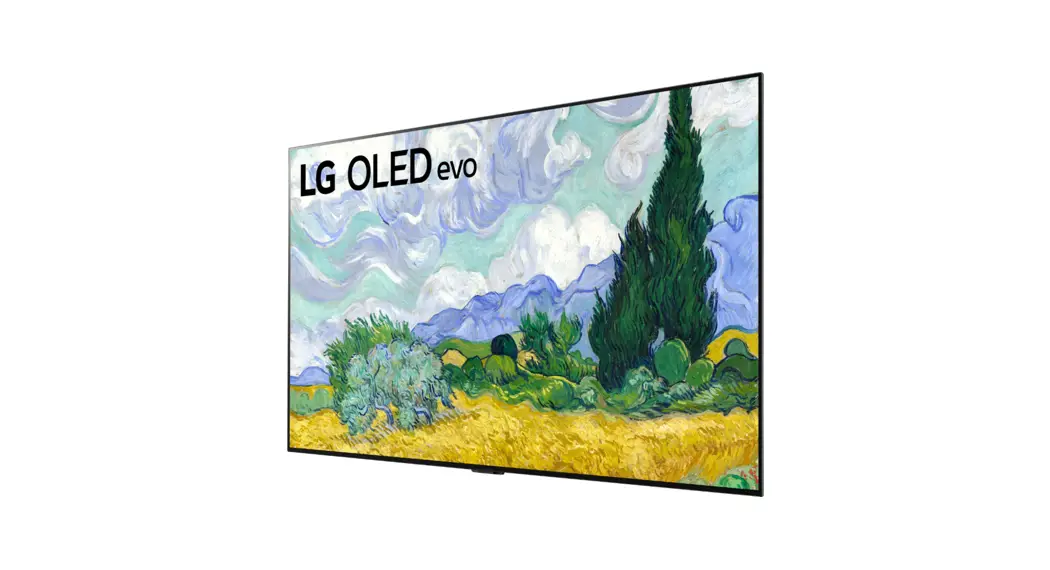 Lg Ap-g1dv55 55 Inch With Gallery Design 4k Smart Self-lit Oled Evo Tv User Guide