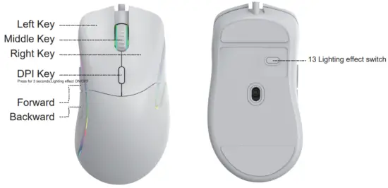 Mouse Overview