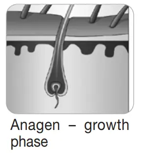 beurer IPL 5800 Pure Skin Pro Hair Removal System - fig1