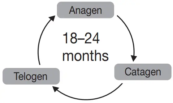 beurer IPL 5800 Pure Skin Pro Hair Removal System - fig4