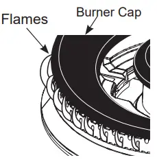 GE-APPLIANCES-ZGU366-Propane-Conversion-fig-17
