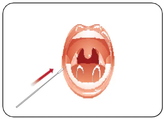 Attogene AU2033 SARS-CoV-2+InfluenzaA and BAntigen Assay - fg 10