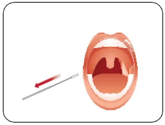 Attogene AU2033 SARS-CoV-2+InfluenzaA and BAntigen Assay - fg 12