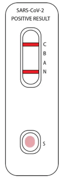 Attogene AU2033 SARS-CoV-2+InfluenzaA and BAntigen Assay - fg 13