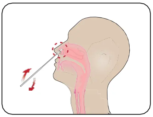 Attogene AU2033 SARS-CoV-2+InfluenzaA and BAntigen Assay - fg 7