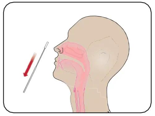 Attogene AU2033 SARS-CoV-2+InfluenzaA and BAntigen Assay - fg 8