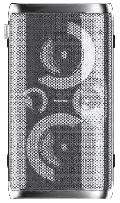 Hisense HP100 Party Rocker Speaker