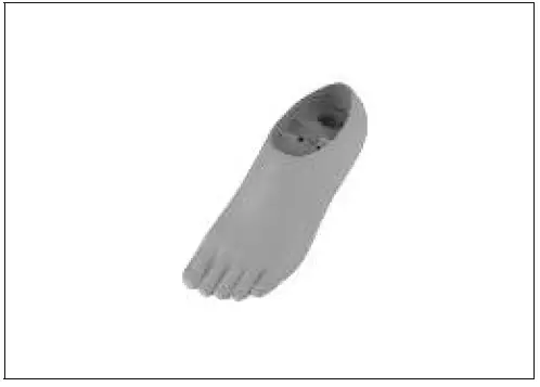 ottobock-1H38-Single-Axis-Foot-only-Men-10mm-Toes-02
