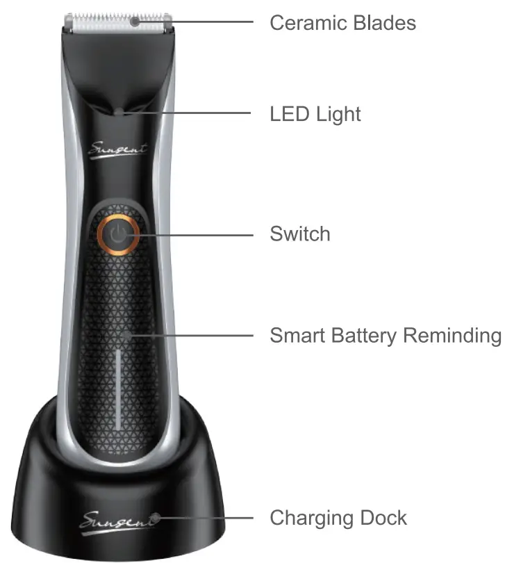 AXTERLLDAK OT001 01 Body Hair Trimmer - fig 11