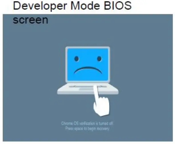 DELL 7410 Chromebook Laptop - Developer Mode