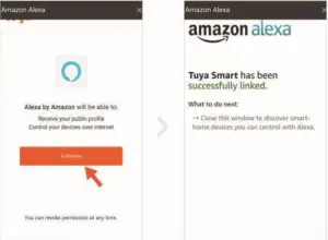 Alexa Connection