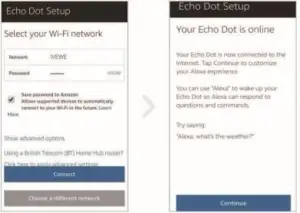 Echo/Echo Dot Operation Guide