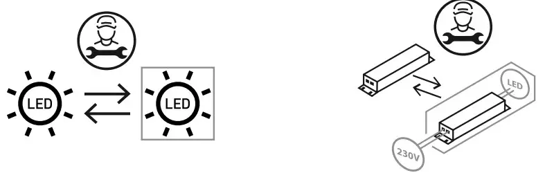 Paul Neuhaus 2079 55 LED Suspension Lamp - changeable