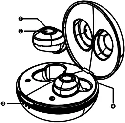 TORTECO T09 - Description 3