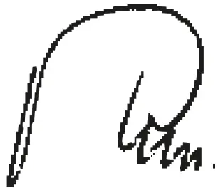 Gude GSH 20T Bottle Jack -icon10