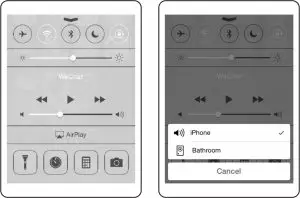 Airplay Functions Interface