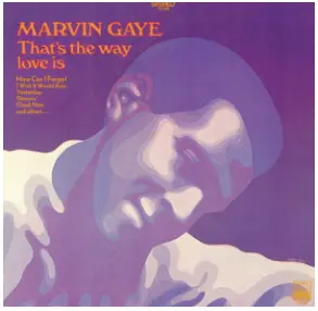 CAMBRIDGE-AUDIO-MXN10-Network-Player-fig 3