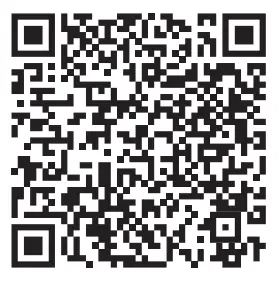 EQUATOR ADVANCED Appliances PFL 255 Portable Fireplace with LED Light - QR