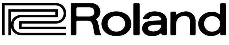 Roland CY-18DR V-Cymbal Digital Ride logo