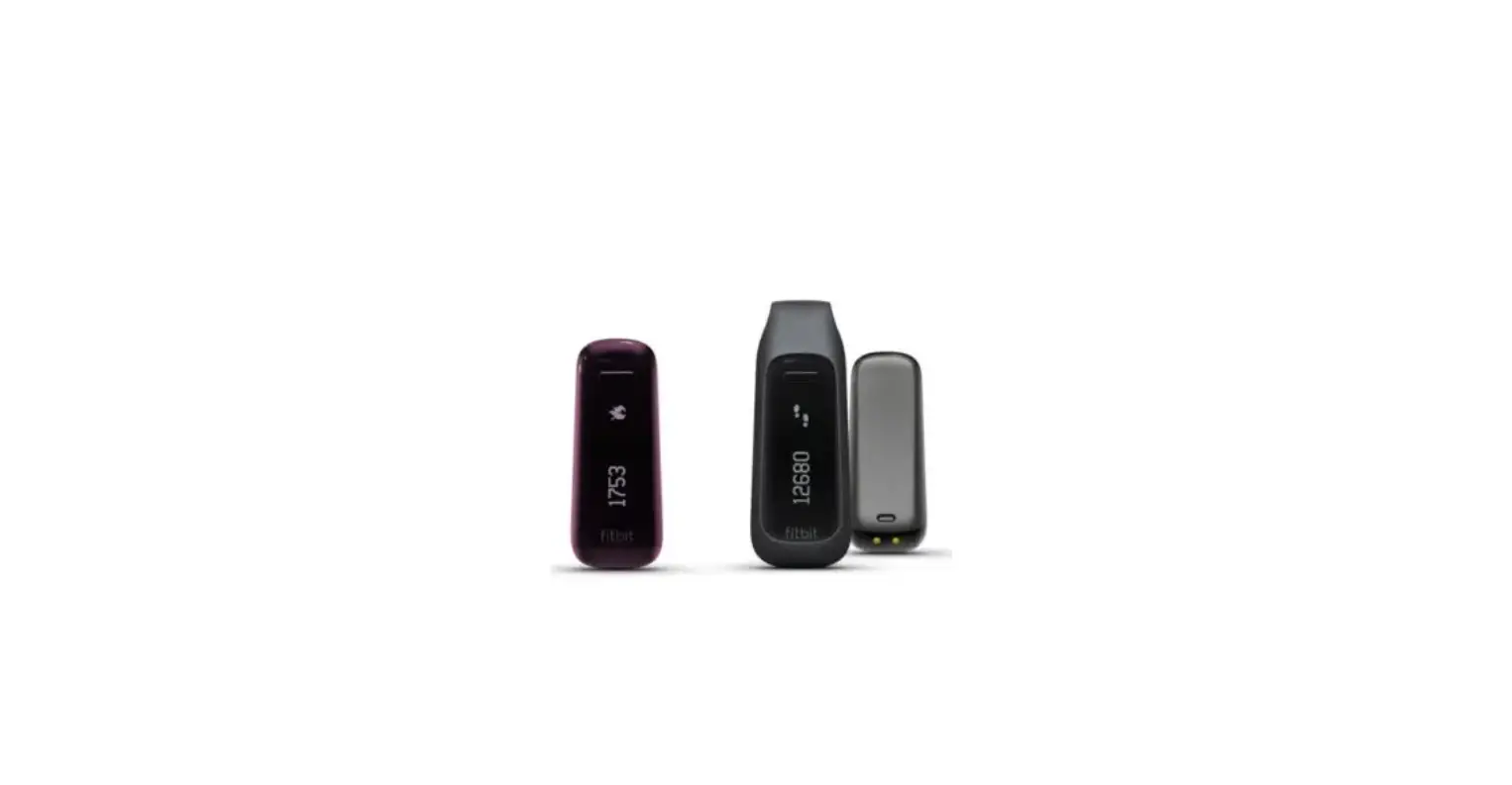 Fitbit One User Manual