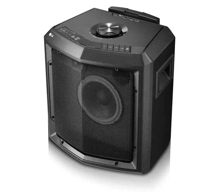 LG High Power Speaker System