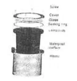 a screenshot of a cell phone