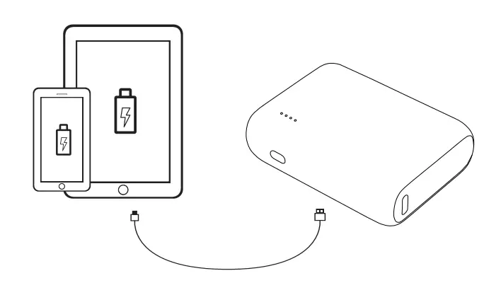 CHAMPION PBPD10 10000 mAh Power Bank - connect