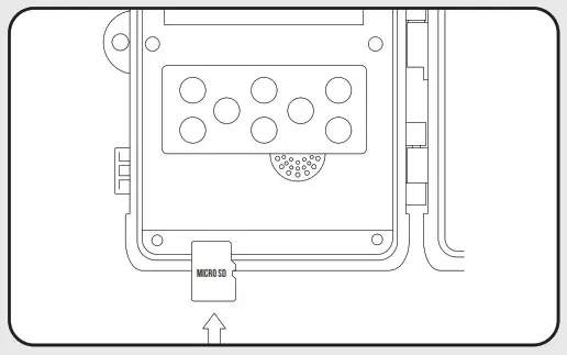 strex SP48 Wildlife Camera - Review footage 2