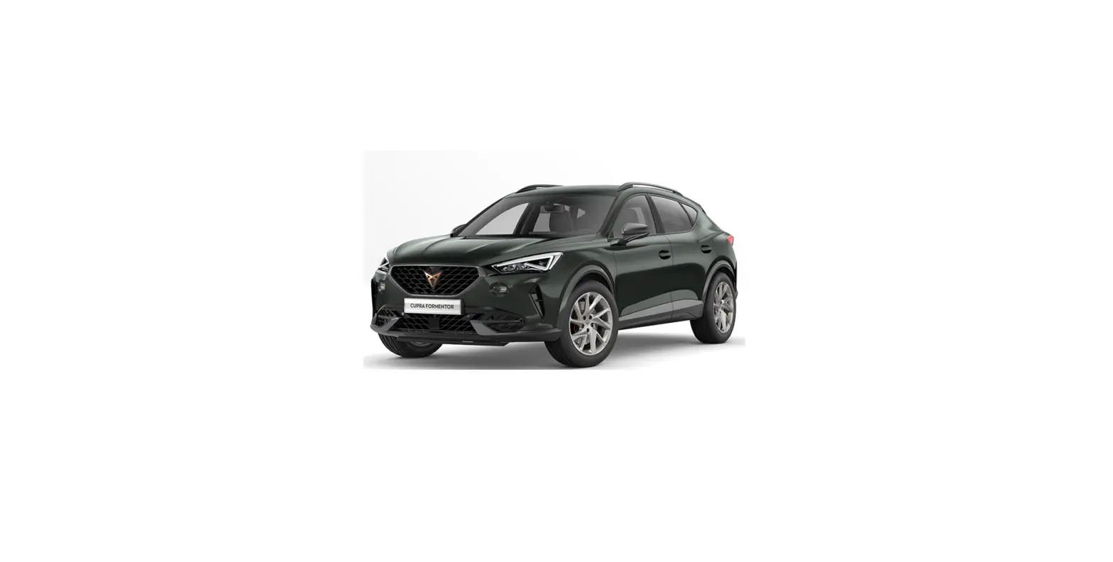 Cupra Formentor Bluetooth & Multimedia Compatibility User Manual