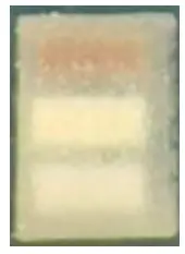 EVERLIGHT 110-42-156 SMD LEDs - fig5