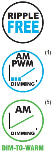 TCI Mini Jolly Dali 20 - 2