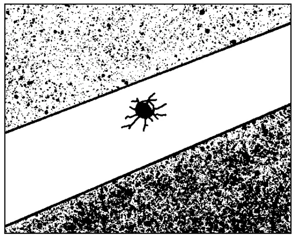 Ti SALES FRS202 - fig 1