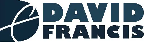 david-logo
