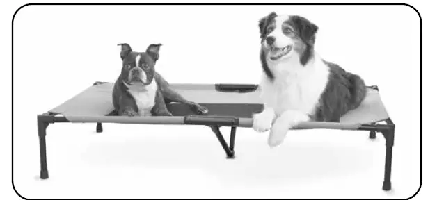 K H Small Original Pet Cot Elevated Pet Bed fig (2)