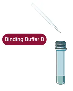 GALENVS magneti Total RNA Extraction Kit - Binding1