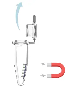 GALENVS magneti Total RNA Extraction Kit - capture