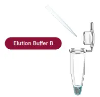 GALENVS magneti Total RNA Extraction Kit - fiffd.g