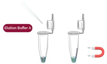 GALENVS magneti Total RNA Extraction Kit - fifg