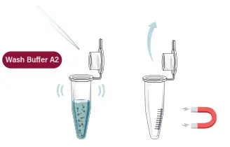 GALENVS magneti Total RNA Extraction Kit - fig45