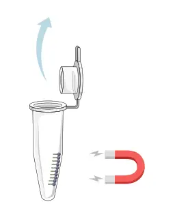 GALENVS magneti Total RNA Extraction Kit - microffugde