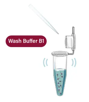 GALENVS magneti Total RNA Extraction Kit - microffugdfe